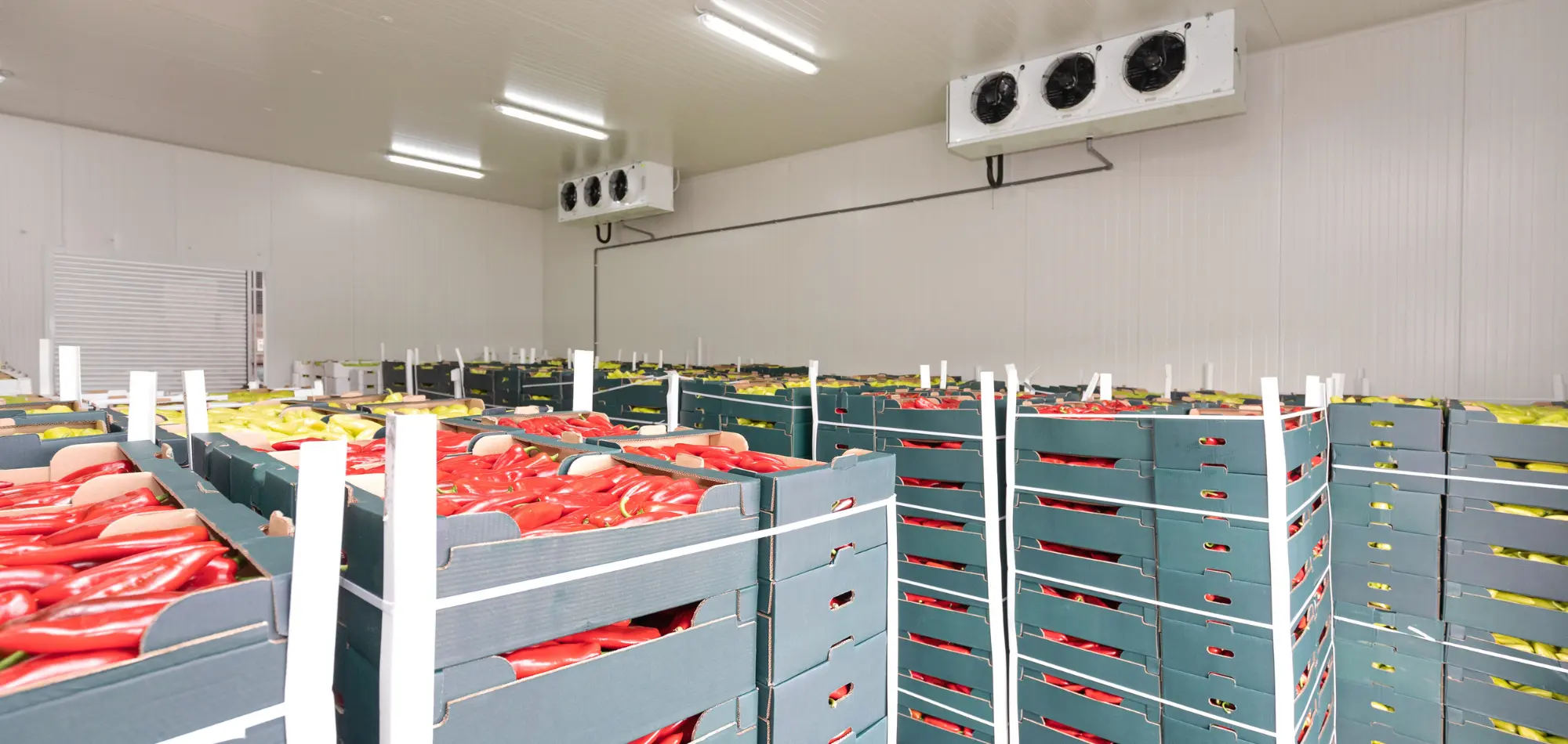 Food Processing Facility with Integrated Cold Storage