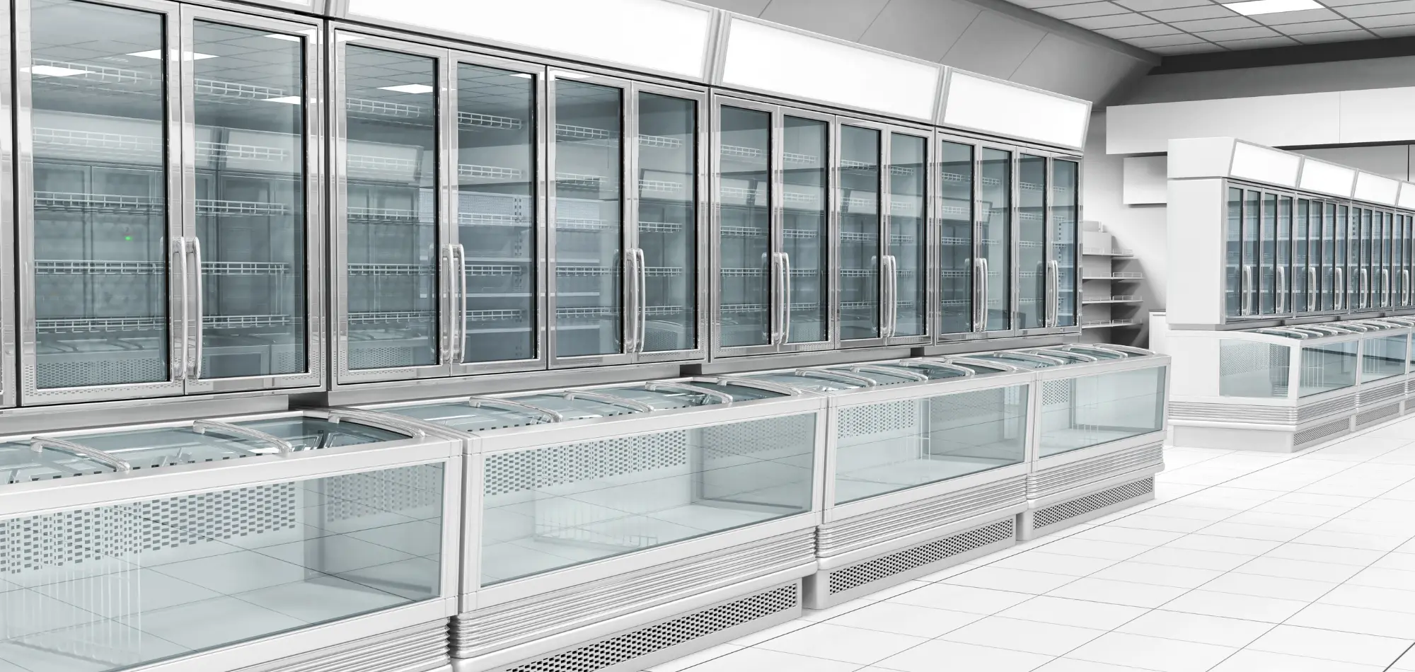 Cold Storage with IQF Blast Freezer