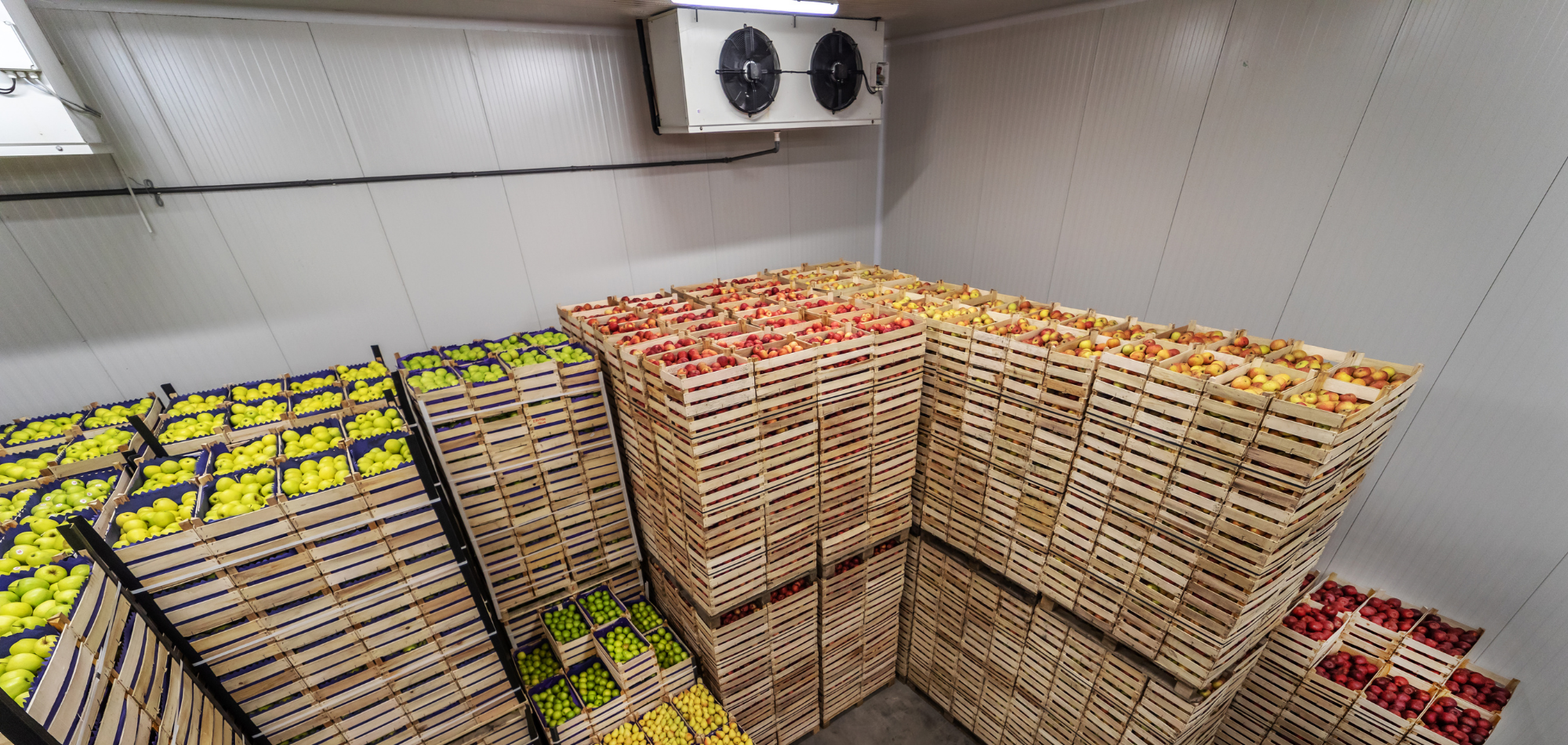 us cold storage builders site preparation & civil work